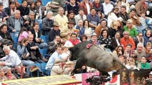 VIDEO ȘOCANT **Un taur "zboară" în tribune și face ravagii printre spectatori