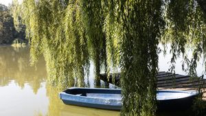 Nu i-a venit să creadă când a găsit asta în Herăstrău. A făcut poze și a răbufnit: „E vorba de bun simț?”