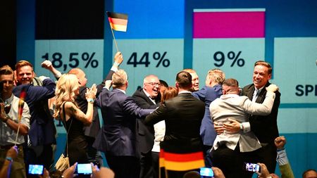Cum poate influența victoria AfD în alegeri fotbalul din Germania. Controversele în care partidul de extremă dreapta a fost implicat
