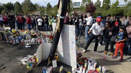 Un bărbat a scos la vânzare bucăți din copacul în care și-a găsit sfârșitul Paul Walker