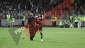 Bornescu: "Nu am vrut să îl lovesc pe Sougou,** am crezut că el vrea să dea în mine! Pe Cadu l-am împins, dar eu am fost lovit de Camora!"