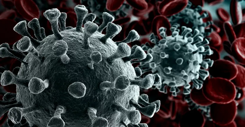 Virusul mortal care sperie oamenii de știință! Toate detaliile despre Nipah: cum te poți infecta și care sunt simptomele