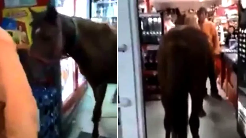 VIDEO | Un bărbat din Buzău a mers cu calul într-un supermarket