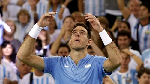 Juan Martin del Potro ratează Australian Open. Anunțul făcut de argentinian