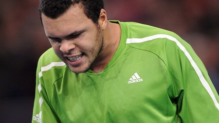 Tsonga câștigă turneul de la Johannesburg!