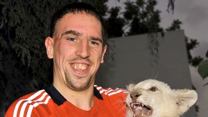 Cei mai scumpi 20 de fotbaliști din Bundesliga