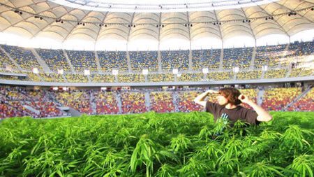 FOTO AMUZANT** IATĂ‚ câteva propuneri pentru gazonul de pe National Arena! ALEGE modelul olandez, vienez, taliban sau italian! :)