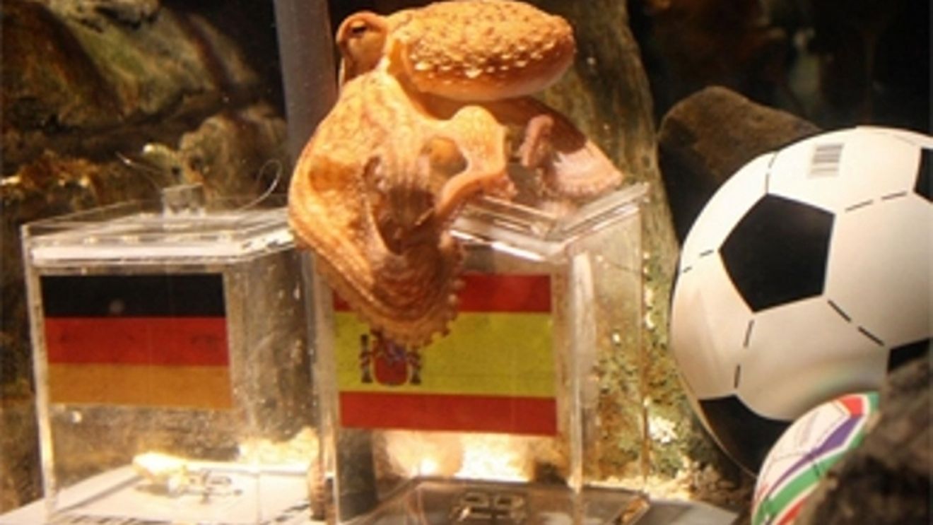 I-au pus gând rău lui Paul! "Oracolul" Mondialului, în pericol după ultima prezicere!