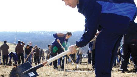 Poli prinde rădăcini!