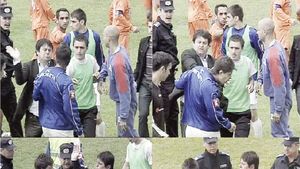 Nervi și palme la Vânju Mare