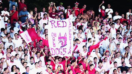 Alt stăpân pentru "câinii" de pe stemă?** Dinamo este în pericol să-și piardă sigla! Un om de afaceri o pretinde