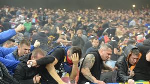 Reprezentantul BGS a justificat intervenția firmei de protecție: "Scrie în lege că și noi avem dreptul". Două declarații care nu fac sens ale acestuia