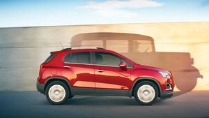 Timpul trece, ADN-ul rămâne