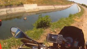 VIDEO Gestul care a UIMIT o lume!** A renunțat la calificările în care concura pentru a salva viața unui... vițel