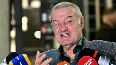 Cât teren are latifundiarul Gigi Becali. Averea în pământ a miliardarului este fabuloasă