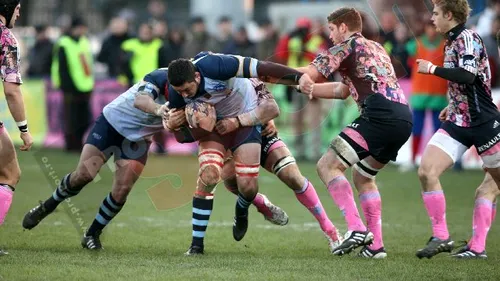 Stejarii - Stade Francais 20-29