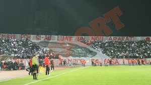 Coregrafie 'vândută', 'câinii' prinși în ofsaid! **Duelul galeriilor în Dinamo-Rapid! Vezi mesajele!