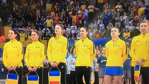 Conferință de presă fără Simona Halep. Ce au spus Segărceanu, Begu și Niculescu: 