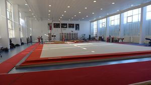 Sala Polivalentă ce va găzdui Europenele de gimnastică din 2017 așteaptă unda verde de la Primărie pentru demararea lucrărilor de construcție. 500 de locuri de parcare se vor adăuga la structura deja existentă