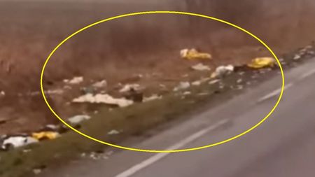 Ce a observat un șofer grec care a trecut pe lângă locul în care au murit 7 fani ai lui PAOK, la 4 ore de la tragedie: ”O lovitură în stomac”