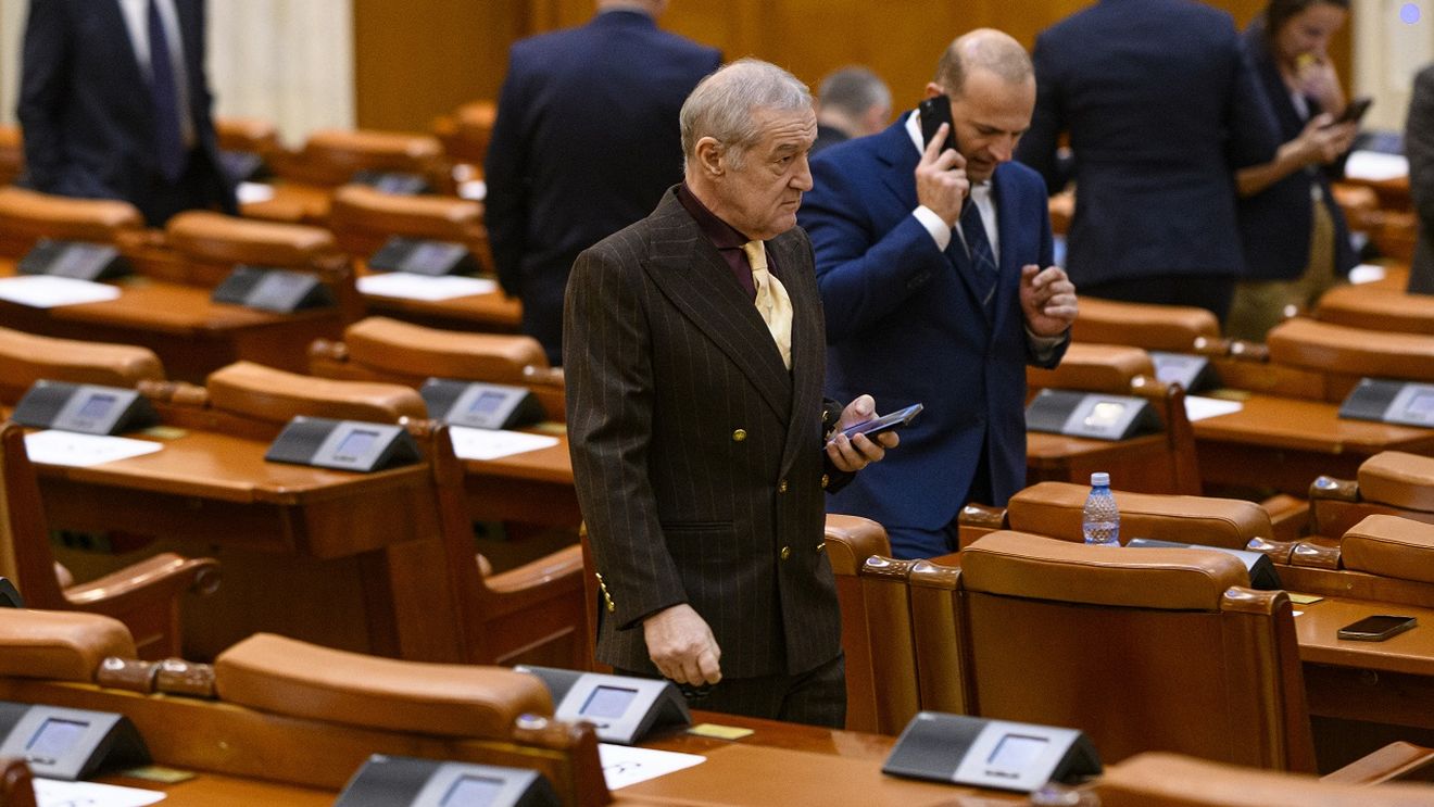 Paradoxul Gigi Becali în Parlamentul României. Cele 3 comisii din care face parte miliardarul de la FCSB