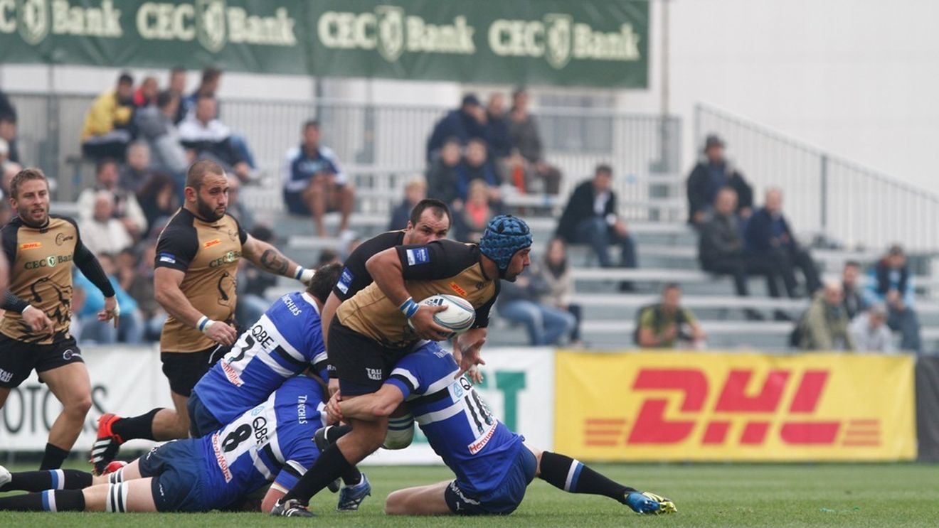 "Lupii" au mușcat din Calvisano