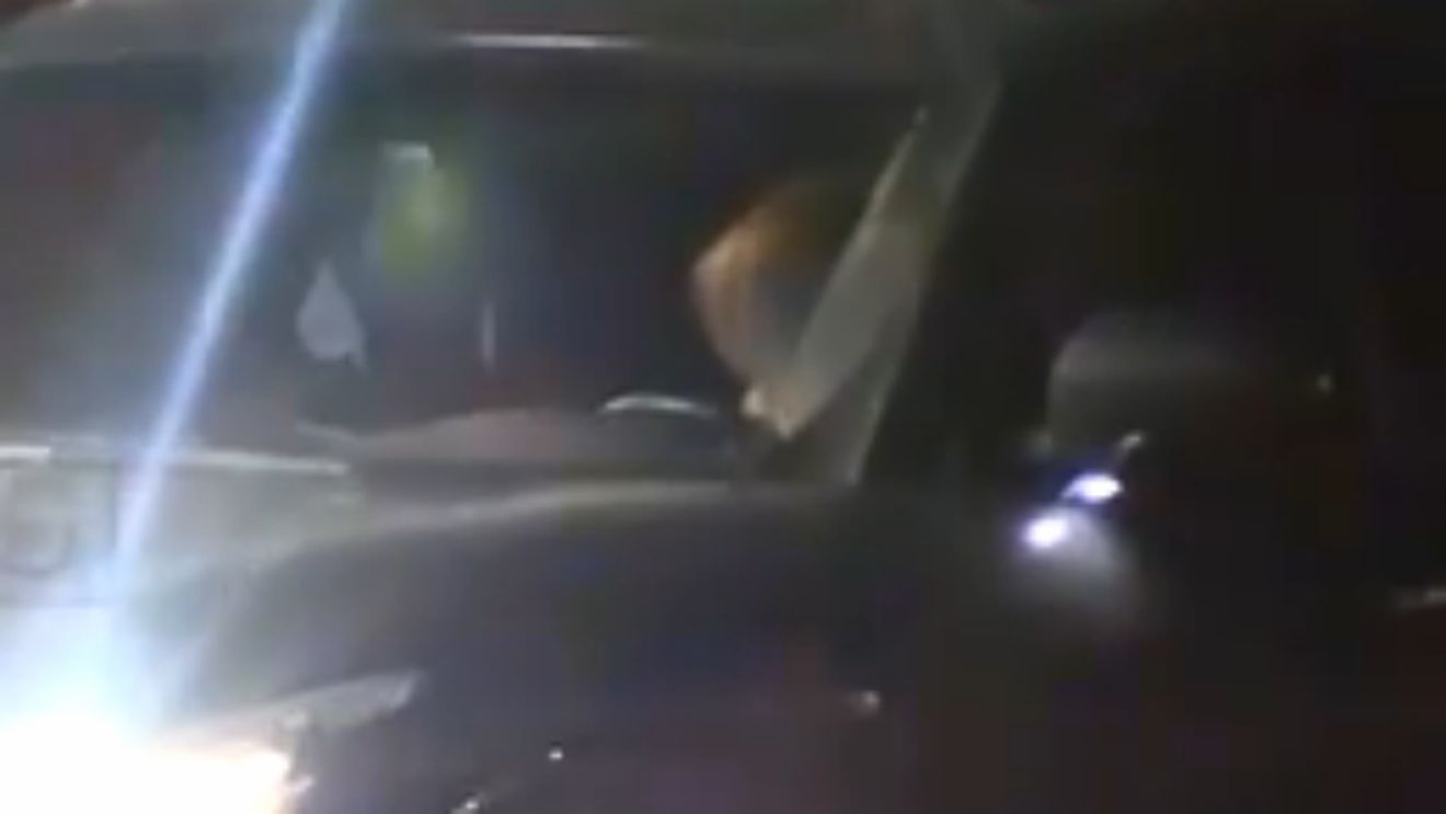 Artyom Dzyuba a călcat pe bec. VIDEO | A ieșit noaptea din hotelul naționalei și s-a iubit cu o blondă în parcare, deși este însurat