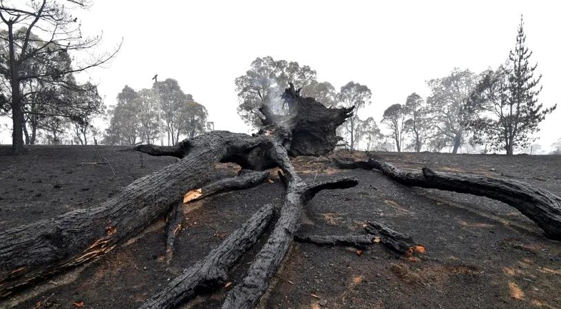 Incendiile devastatoare amenință „Australian Open”. Organizatorii se tem pentru sănătatea sportivilor și iau în considerare să amâne competiția