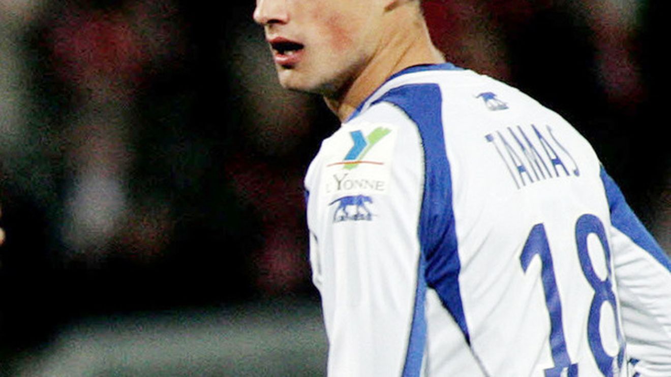 Tamaș și Niculae datorează 1.3 mil euro fiscului francez!  "E nedrept!"