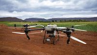 (P) Fermele viitorului: cum au devenit dronele noul aliat al fermierului modern