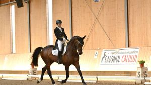 TIMP LIBER | Pentru pasionații de echitație. La clubul Equestria are loc cel mai important concurs de dresaj. Intrarea e liberă 