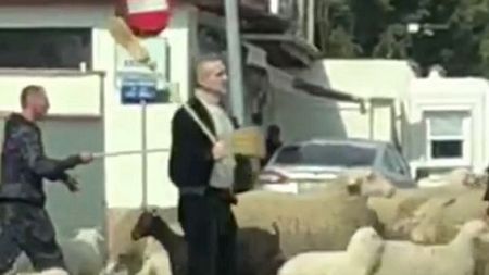 Meciul FCSB - Poli Iași, amânat din cauza lui Gigi Becali, "finanțatorul care și-a scos oile la păscut" | Glumă "nesărată" de 1 Aprilie