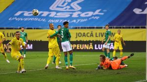 Soluție inedită pentru un gazon bun pe „Arena Națională”. „Doi măgari și un cilindru!”