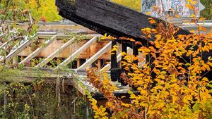 Trebuia să fie milionar în euro, dar a ajuns să trăiască în mizerie cu 650 de lei pe lună: „Mă spăl în butoi, nu am baie”