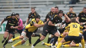 30 de "lupi" pentru Stade Francais