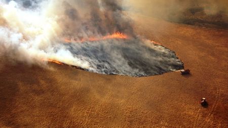 Donație uriașă făcută de organizatorii de la Roland Garros, Wimbledon și US Open pentru victimele incendiilor devastatoare din Australia