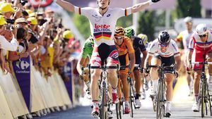 Viteză de "gorilă"