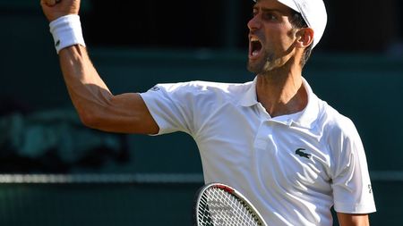 'Chiar crezi că am distrus terenul?' Djokovic, la capătul răbdării în duelul cu Nishikori