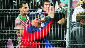 Își fac firmă de pază! Fanii Stelei de la Peluza Nord vor să se ocupe de paza de la stadion