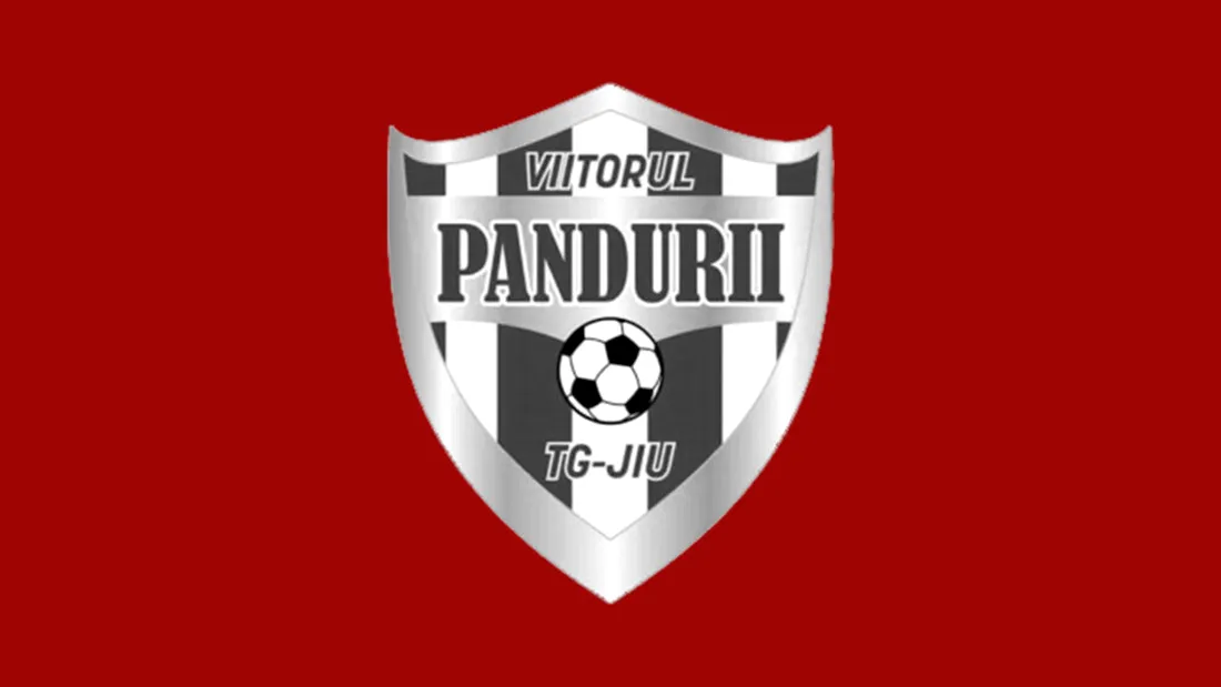 EXCLUSIV | Au pus cruce la club! Tribunalul Gorj a decis falimentul clubului Viitorul Pandurii Târgu Jiu. Liga 2 rămâne cu o echipă în minus. Ce se întâmplă cu rezultatele gorjenilor din acest sezon