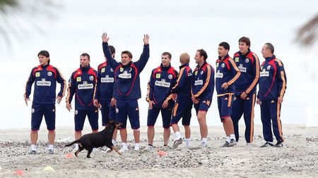 Naționala, "liberă la mare"