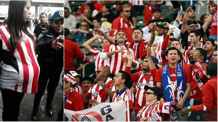 Însărcinată, dar cu o "misiune specială" :) FOTO | Ce au putut găsi jandarmii în "burta" acestei fane aparent gravidă