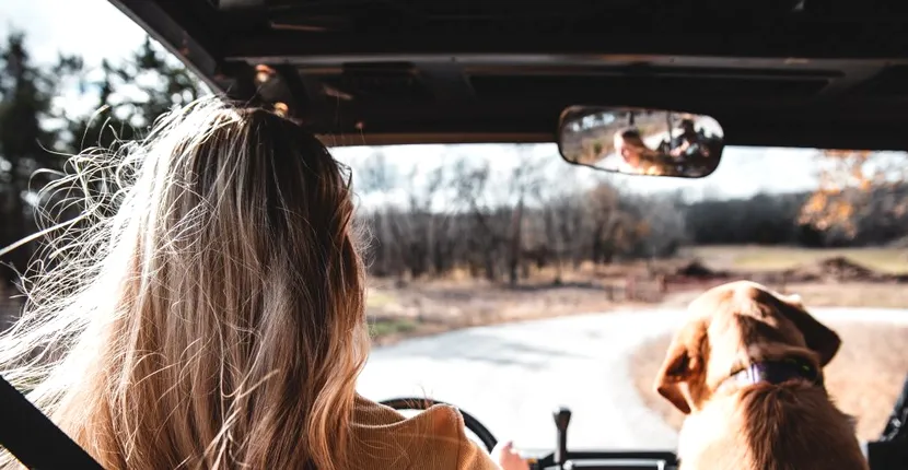 Bancul zilei. Blonda, după examenul de obținere a permisului de conducere: Era un semn pe care scria ”30”