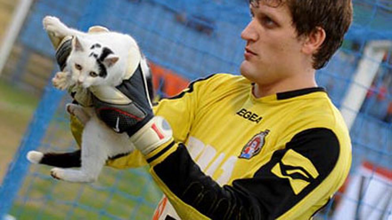 FOTO** A primit "galben" pentru că a scos de pe teren o pisică!