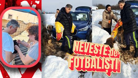 Flori și Ionuț Lupescu, așa cum nu i-ai mai văzut până acum! Au lăsat „câinii” din Ștefan cel Mare pentru câinii străzii: „Unde dorm?”