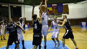 Ce tigri "COOL(ey)!**