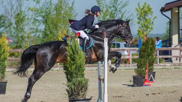 Startul pentru a doua etapă a Circuitului Salonul Calului se dă la Equestria, pe 5 iunie. Vezi programul competiței