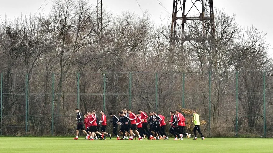 dinamo datorii anaf baza saftica