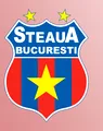 Înalta Curte de Casație și Justiție a admis recursul FCSB în privința titularului palmaresului clubului Steaua pentru perioada 1947-1998