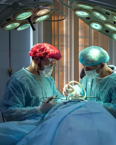 Primul transplant de inimă de la porc la om ar fi eșuat din cauza virusului porcului